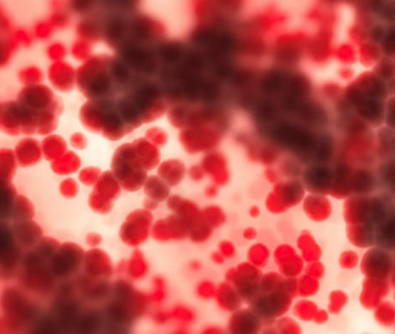 New National BBV and STI Strategies Released