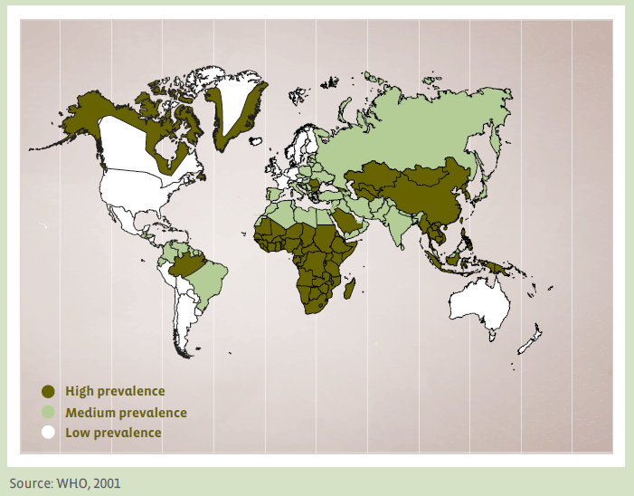 Global Hepatitis B Prevalence