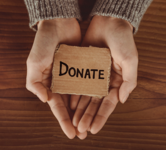 World Liver Day Donate